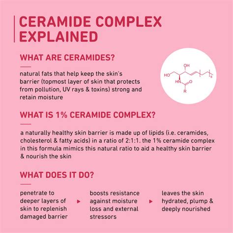 Ceramide Moisturizer | Easily Repair & Strengthen Skin Barrier – Plum