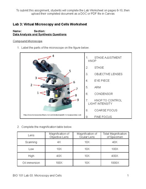 Image result for Microscope Lab Activity