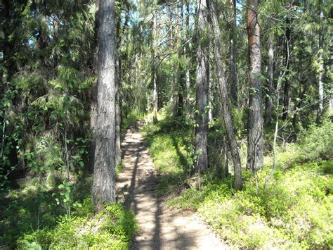 Kollen at Fjæreheia - Grimstad | Hiking | Grimstad | Norway