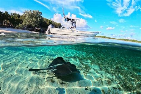 ISLAND LIFE ADVENTURES (2025) All You Need to Know BEFORE You Go (with ...