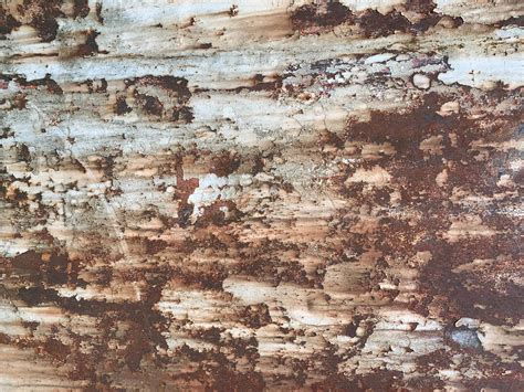 Image result for Rusty Metal Surface Texture