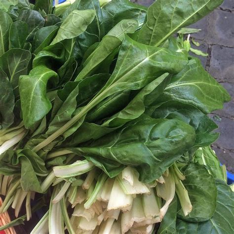 Bok Choy / Pak Choi 'Tai Sai' (Brassica rapa subsp. chinensis) organic ...