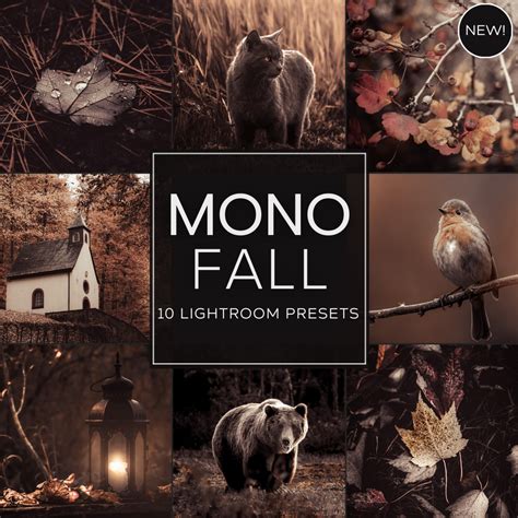 Mono Fall LIMITED Lightroom Presets Pack – Woodland Presets