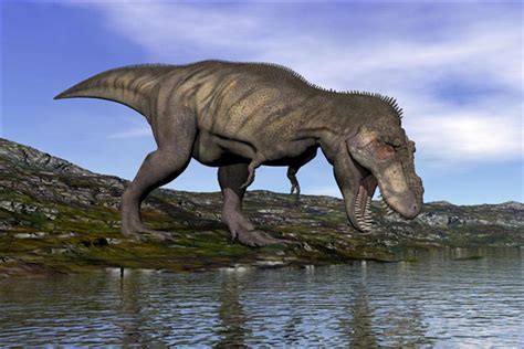 恐龙灭绝的十大原因 有十种关于恐龙灭绝的猜测_探秘志