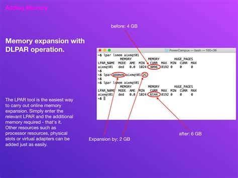 Image result for What Is LPAR