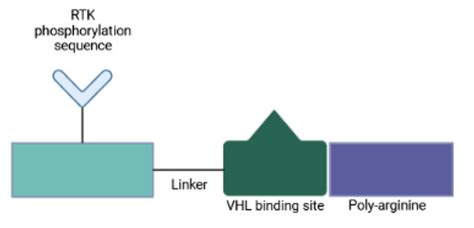 IJMS | December-1 2022 - Browse Articles