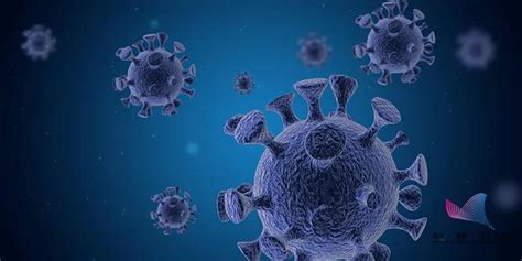 对40种病毒变体基因测序，冰岛发现全球首例“双重感染者”|基因测序|新冠肺炎_新浪新闻