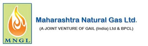 Delighting Corporates With Yummy Home Made Food