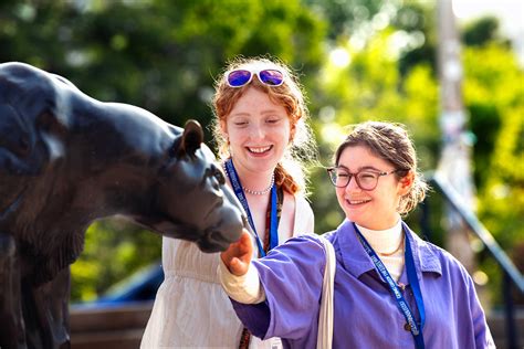 Educator's and Counselor's Guide - Georgia State Admissions