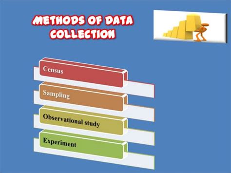 Statistics Data Collection 的图像结果