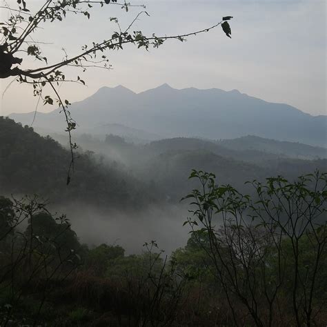 THE WINDFLOWER RESORT & SPA VYTHIRI (Kerala) - Resort Reviews, Photos ...