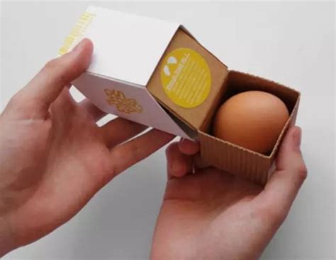 文创 | 创意鸡蛋包装设计——看看那些美丽的“蛋坚强”_搜狐文化_搜狐网