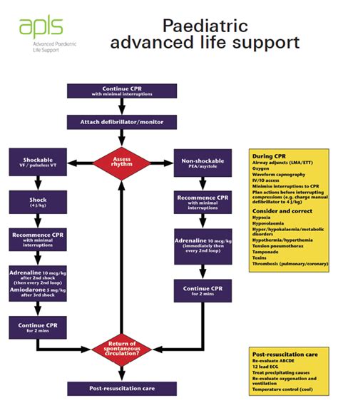 Image result for Paediatric Intermediate Life Support
