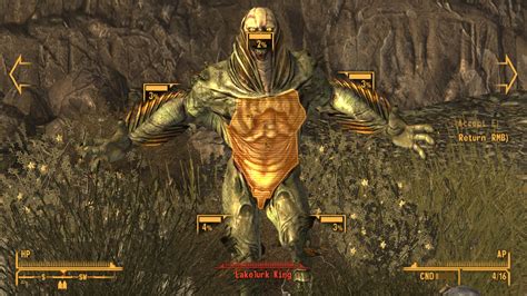 Image result for Fallout New Vegas Randomizer