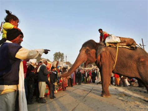 Hindu pilgrims dips in the confluence - January 22, 2012 | The Economic ...
