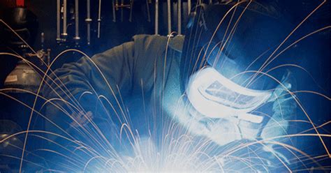 Most Random Facts 的图像结果