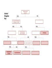 Image result for How Do Classification Keys Work
