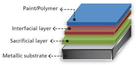 Natural Polyphenols and the Corrosion Protection of Steel: Recent ...
