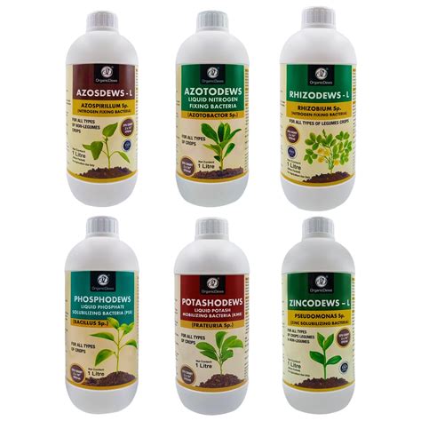 OrganicDews Azospirillum, Azotobacter, Rhizobium, PSB, KMB, Zinc ...