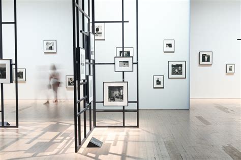 Diane Arbus, Everything Everywhere All at Once - The New York Times