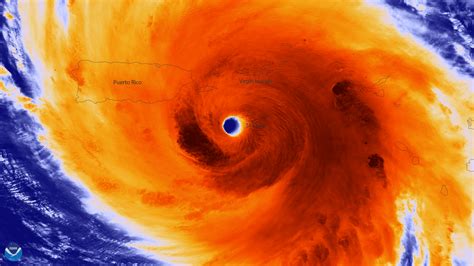NASA公开美国惨状：2017年最惨痛飓风季，热带雨林吹成荒地！|NASA|飓风|波多黎各_新浪新闻