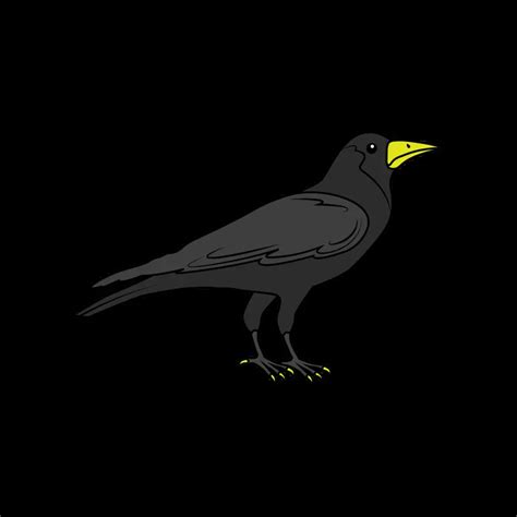 Image result for How to Program Crow