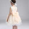 Little Miss Princess Flower Girl Dress in Cream Color