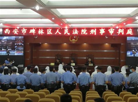 西安市碑林区检察院：向某等17人恶势力犯罪集团开庭审理 - 丝路中国 - 中国网