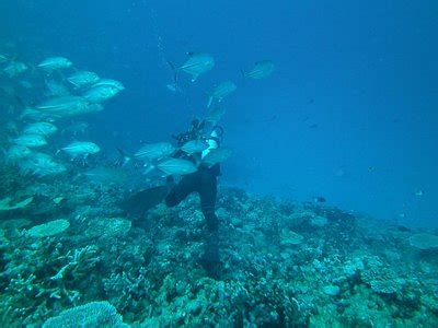 Majuro Tourism (2024): All You Need to Know Before You Go