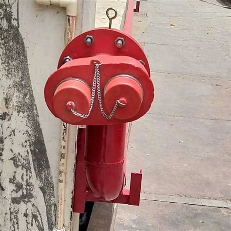 Image result for Fire Brigade Inlet Connection