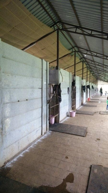 Visit This Farm For A Weekend Of Horsing Around | Mumbai | Whats Hot ...