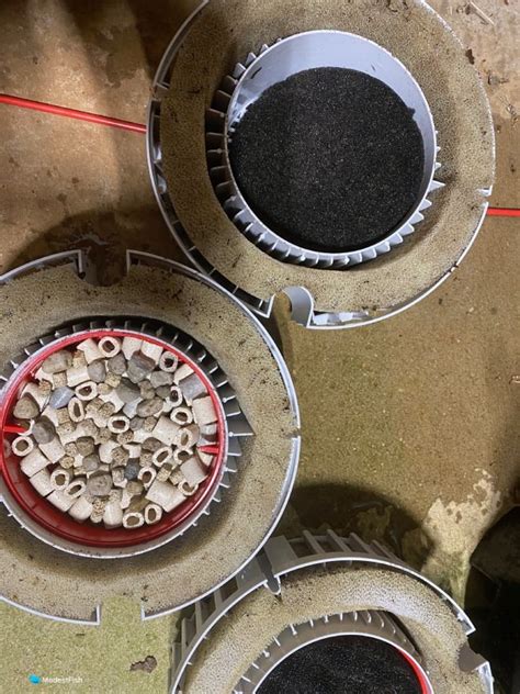 Fluval FX6 Review 的图像结果