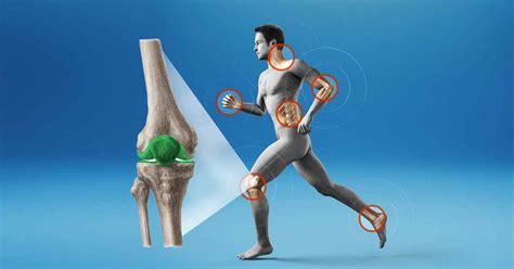 What you should know before taking joint health supplements – L'Amar World