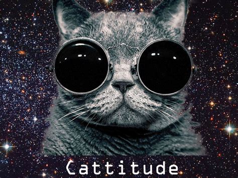 Image result for GIF Examples