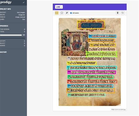 Image result for Annotation Tool Prodigy