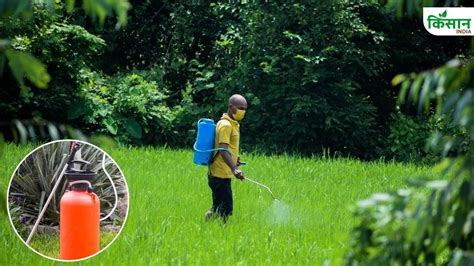 Use of chemical pesticides in farming is harming environment humans and ...