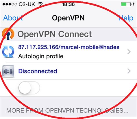 Image result for OpenVPN Setup iPhone