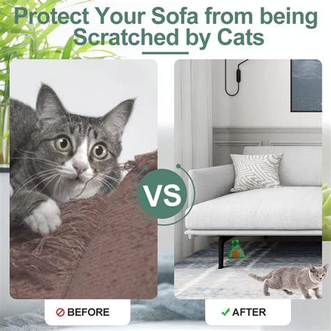 Buy 10 Pack Natural Cat Repellent Outdoor Indoor, Peppermint Oil Cat ...