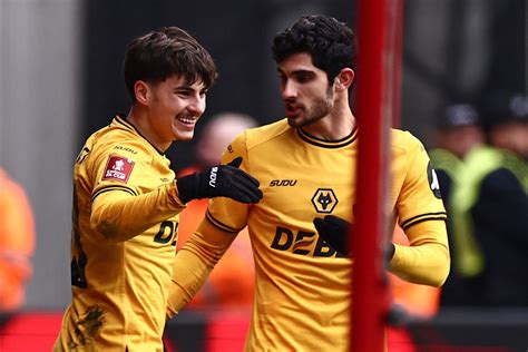 Image result for Wolves V Fulham