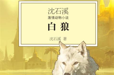 沈石溪的《白狼》读后感500字 - 百家笔记网