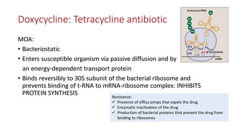 Antibiotics for pneumonia | PPTX