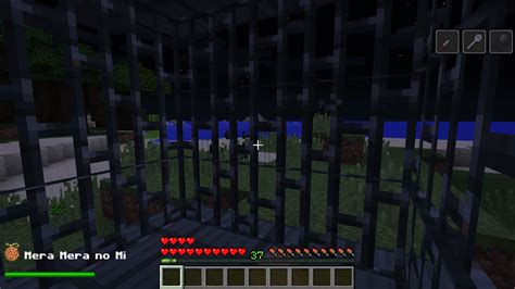 Image result for One Piece Devil Fruit Minecraft Mod