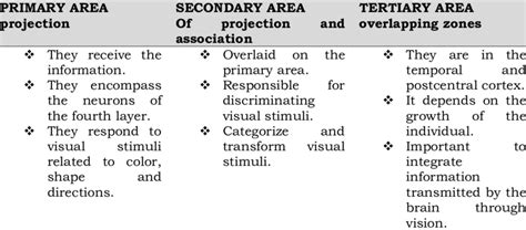 Image result for Process of Visual Perception