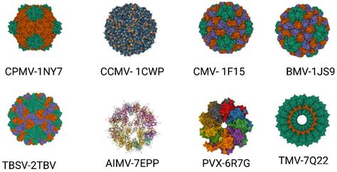The Plant Viruses and Molecular Farming: How Beneficial They Might Be ...
