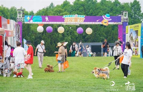 652只狗狗参赛，DOGRUN户外彩跑赛在成都举办_宠物