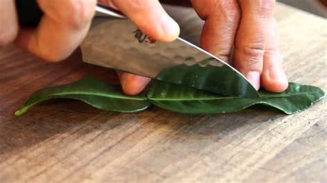 daun jeruk untuk masakan