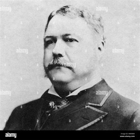 Chester Arthur President 的图像结果