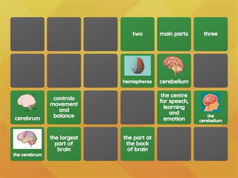 Image result for How Your Brain Pattern Matches