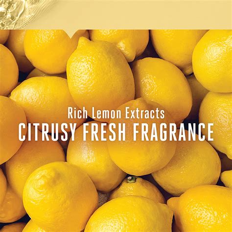 Lakme Blush & Glow Lemon Fresh Face Wash, 50 gm Price, Uses, Side ...