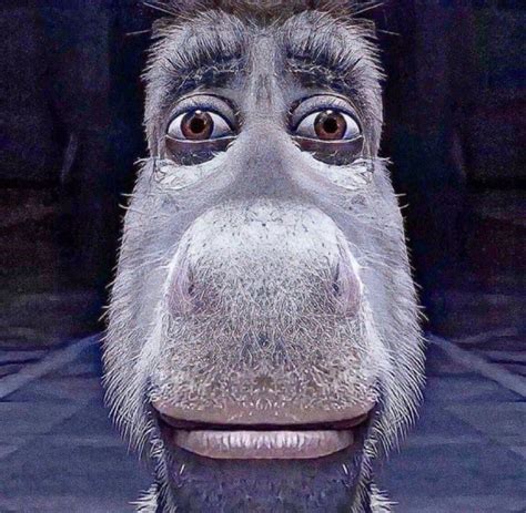 Donkey Meme - Shrek